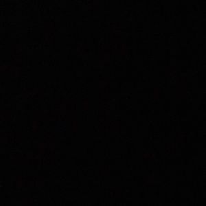 Meet your Posher, Lexi